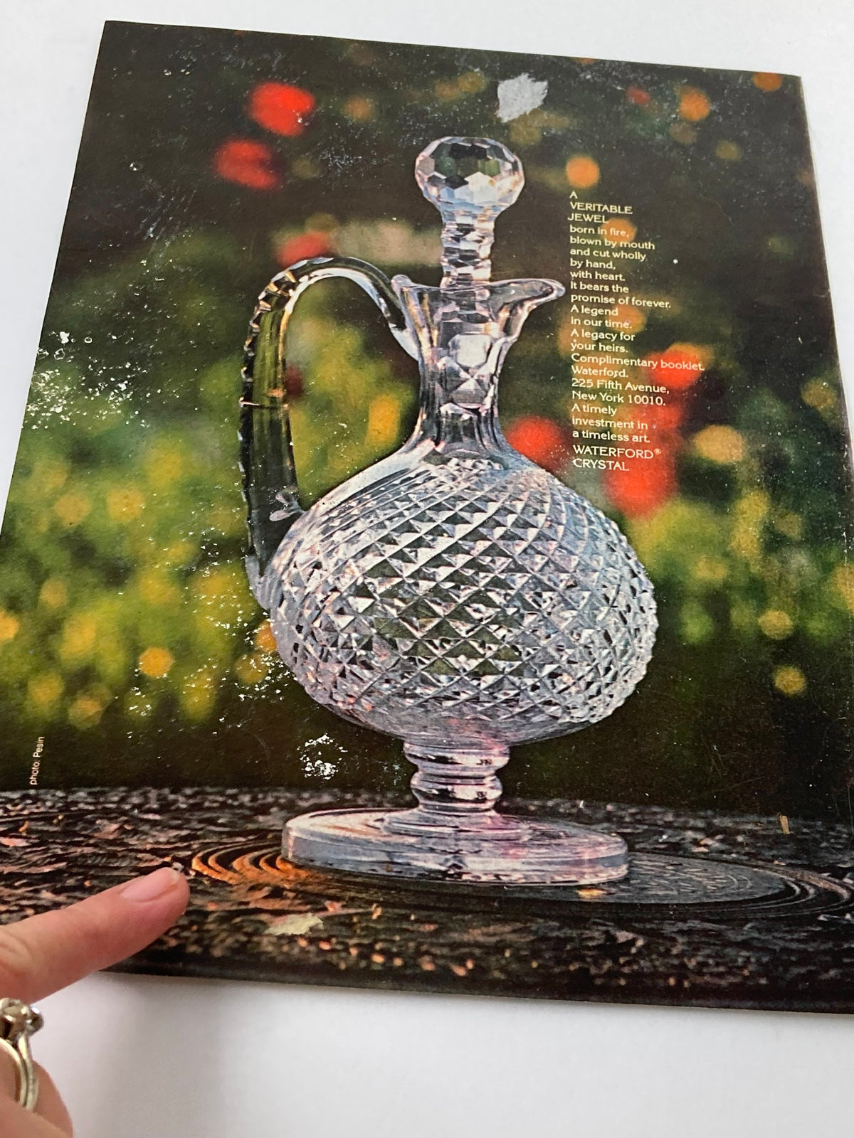 COVER ONLY The New Yorker December 20 1976 My Tree by Charles Saxon. The back view of the magazine cover showcases a crystal decanter, offering a glimpse of classic design elements from the 1970s.