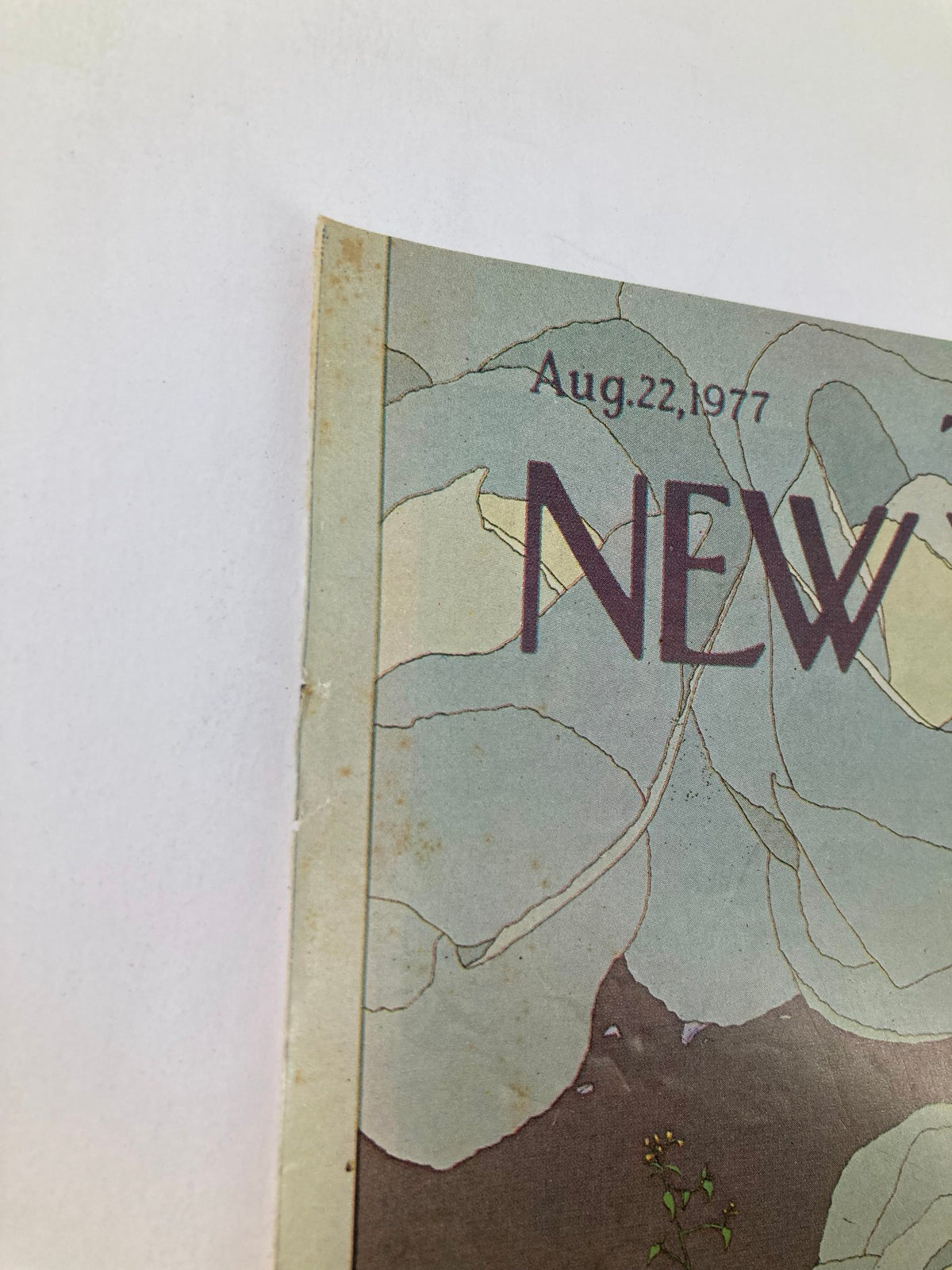 Cover of The New Yorker dated August 22, 1977, featuring an illustration of a cabbage by artist Gretchen Simpson, showcasing vintage art and design.
