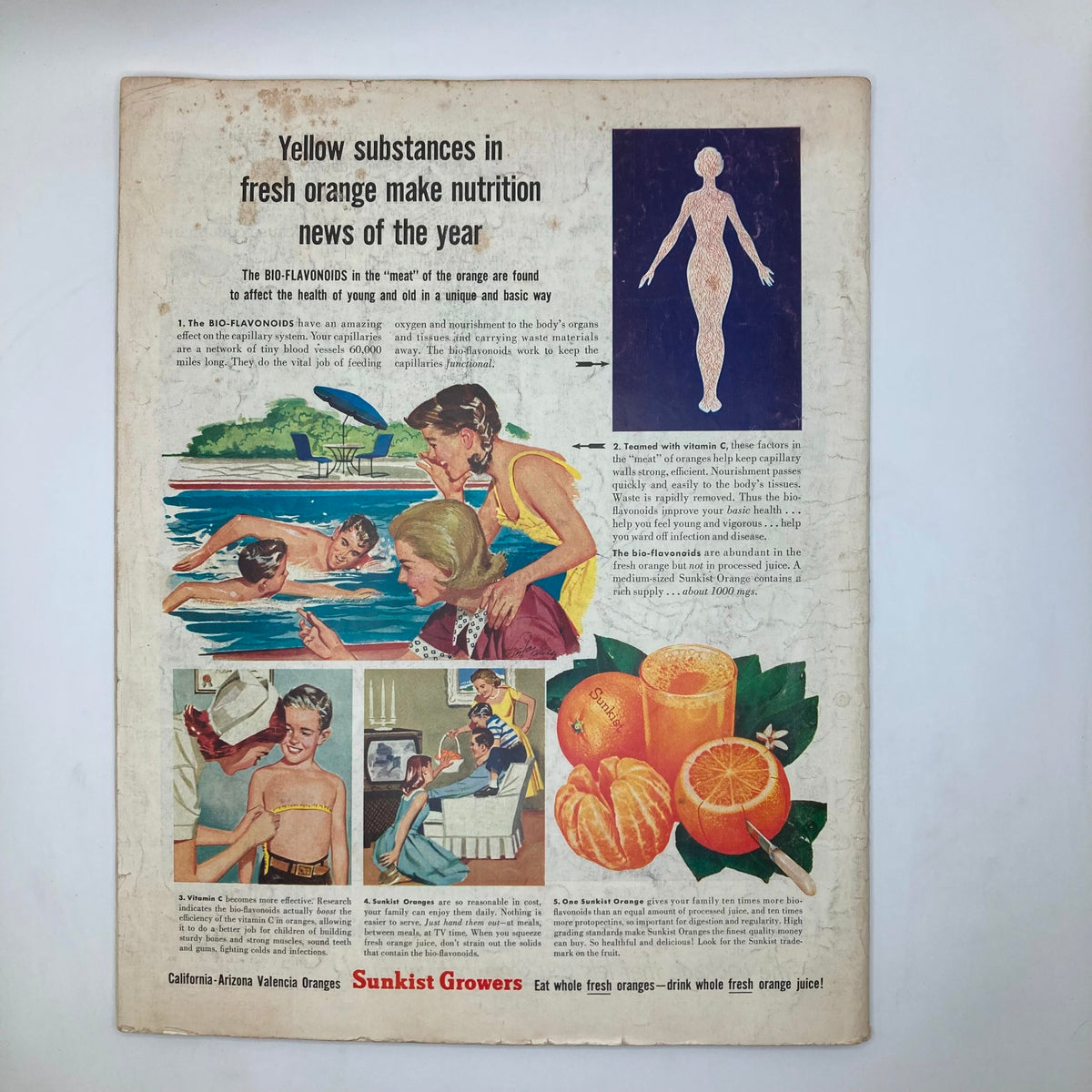 Back cover of Saturday Evening Post Magazine June 30, 1956 advertising Sunkist Growers with illustrations related to nutrition and fresh oranges.