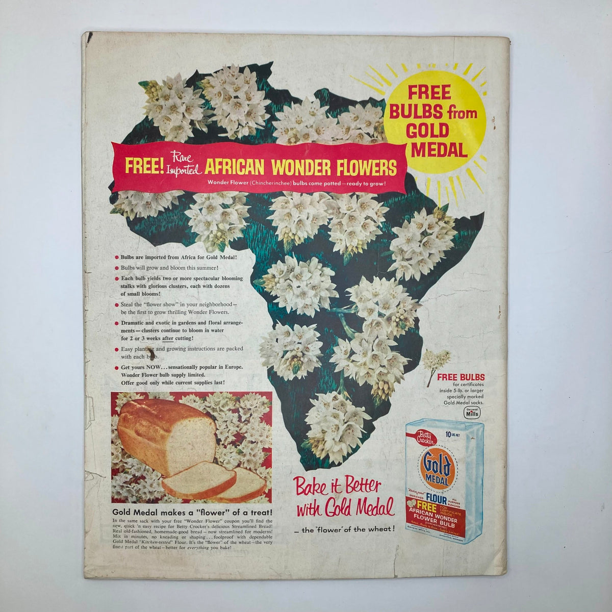 Back cover of the Saturday Evening Post Magazine January 25, 1958, featuring an advertisement for African Wonder Flowers by Gold Medal, illustrating flowers and baking products.