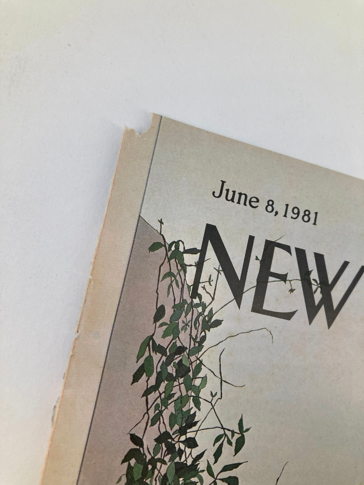 Close-up view of The New Yorker June 8 1981 cover featuring 'White Stairs' by Gretchen Simpson, highlighting minor wear and vintage characteristics.