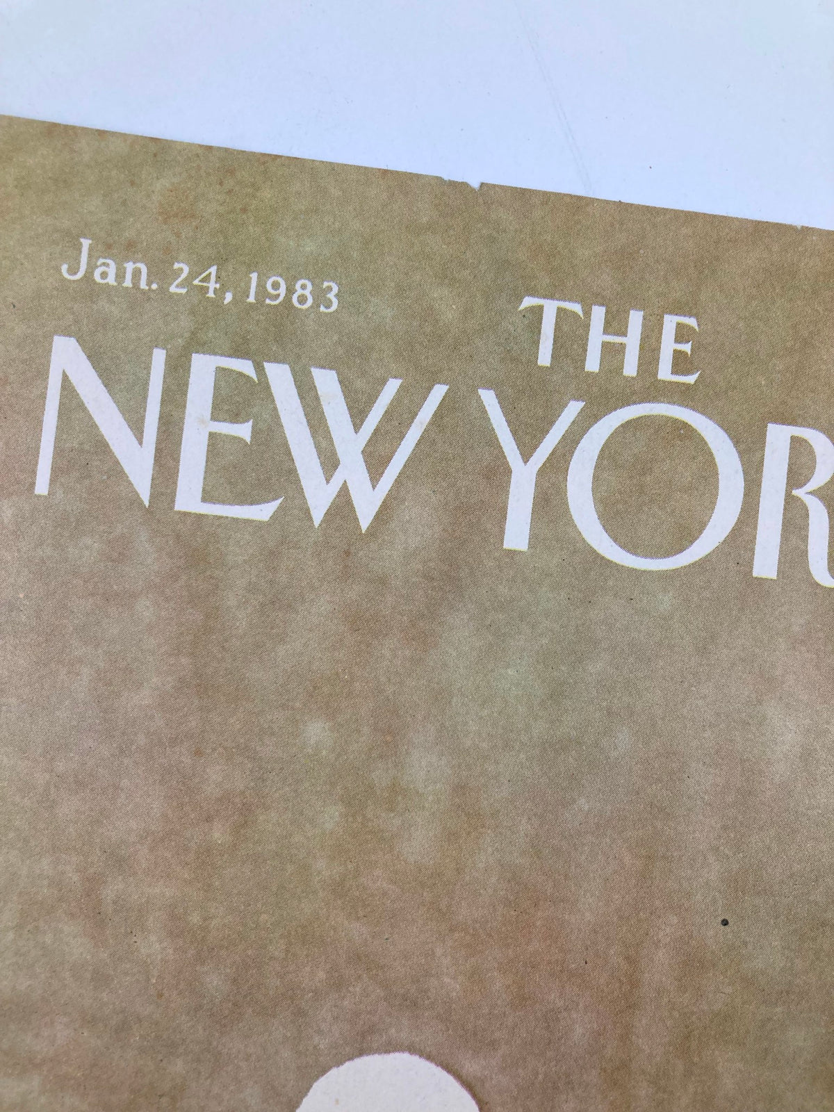 COVER ONLY The New Yorker January 24 1983 Snowman by Heidi Goennel, close-up view highlighting the magazine title and date.