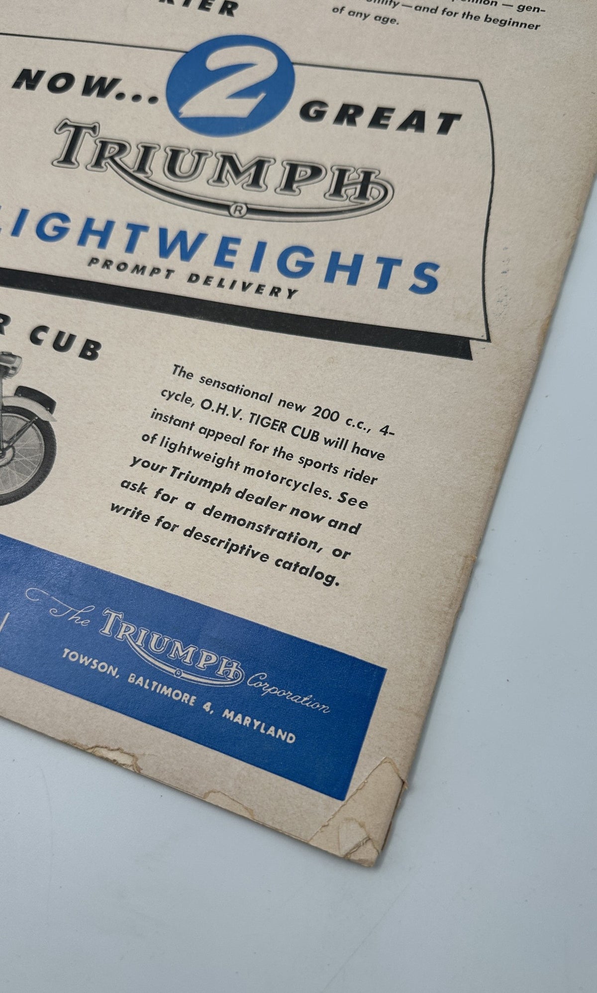 Close-up of the Triumph motorcycle advertisement highlighting The Terrier and The Tiger Cub models, emphasizing their instant appeal for sports riders. Includes the title 'Cycle Magazine July 1954 Catalina Grand Prix Dodge City Velocette.'