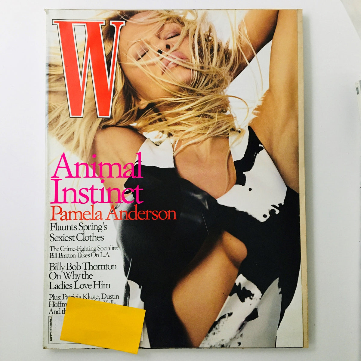 W Magazine May 2003 cover featuring Pamela Anderson, showcasing her in a striking pose with bold fashion elements, part of the Double Trouble special issue.
