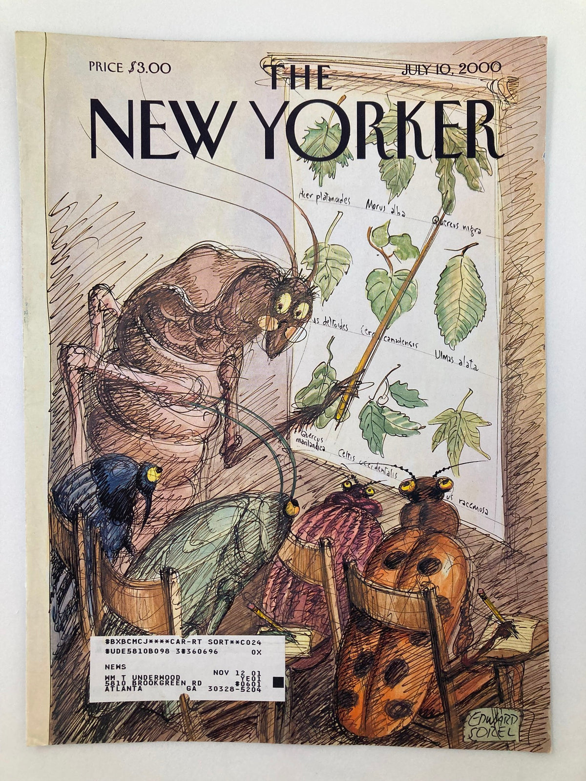 Cover of The New Yorker, July 10, 2000, titled 'Summer School' by Edward Sorel, featuring an imaginative illustration of insects engaged in a summer school setting.
