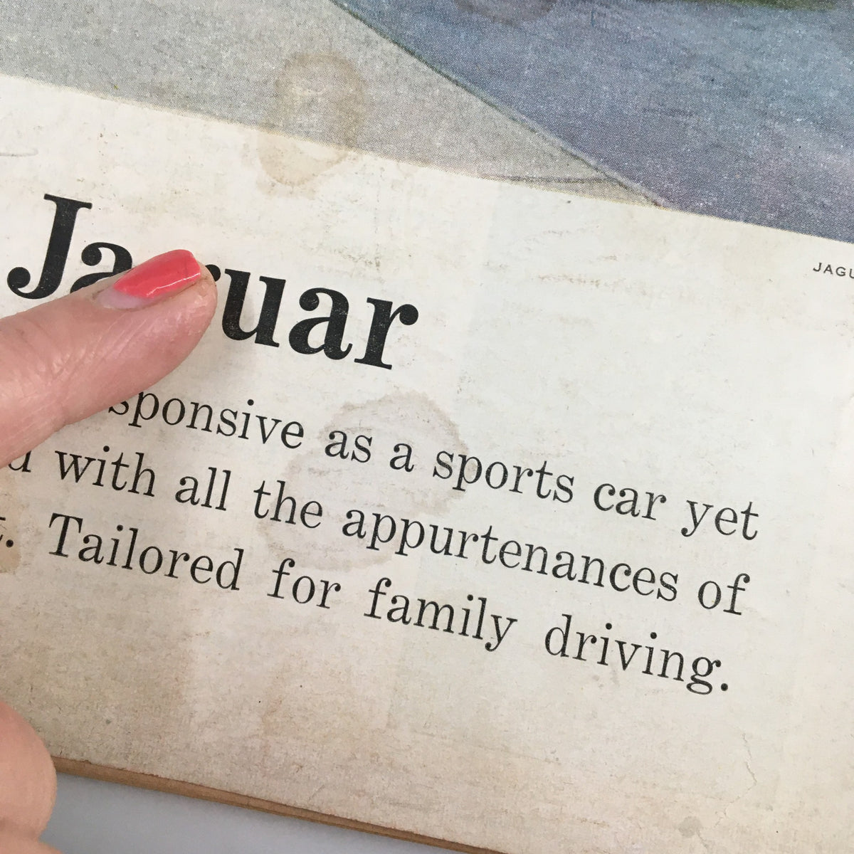 Detailed section of the VTG Road & Track Magazine January 1959, showing information about a Jaguar vehicle with a vintage aesthetic.