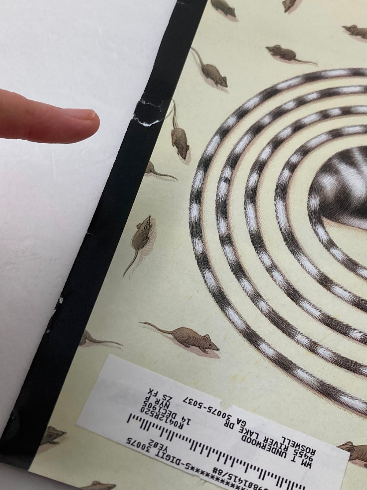 Detail shot of The New Yorker cover dated January 3, 2005, highlighting the illustration 'A Better Mousetrap' by Gürbüz D. Eksioglu, featuring a cat and a background of running mice.