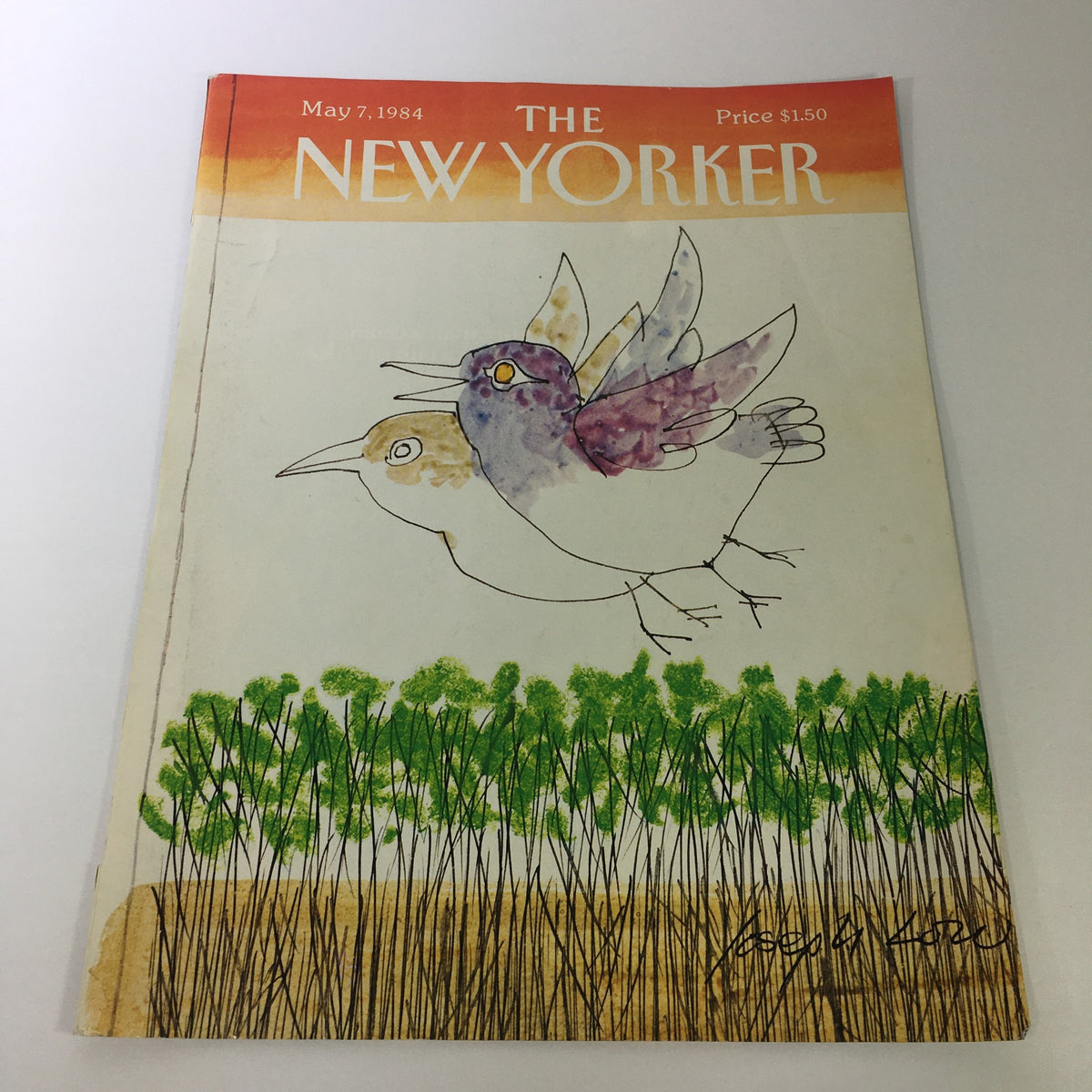 COVER ONLY - The New Yorker Magazine May 7, 1984 featuring a whimsical illustration by Joseph Low, depicting two birds in flight against a colorful background.