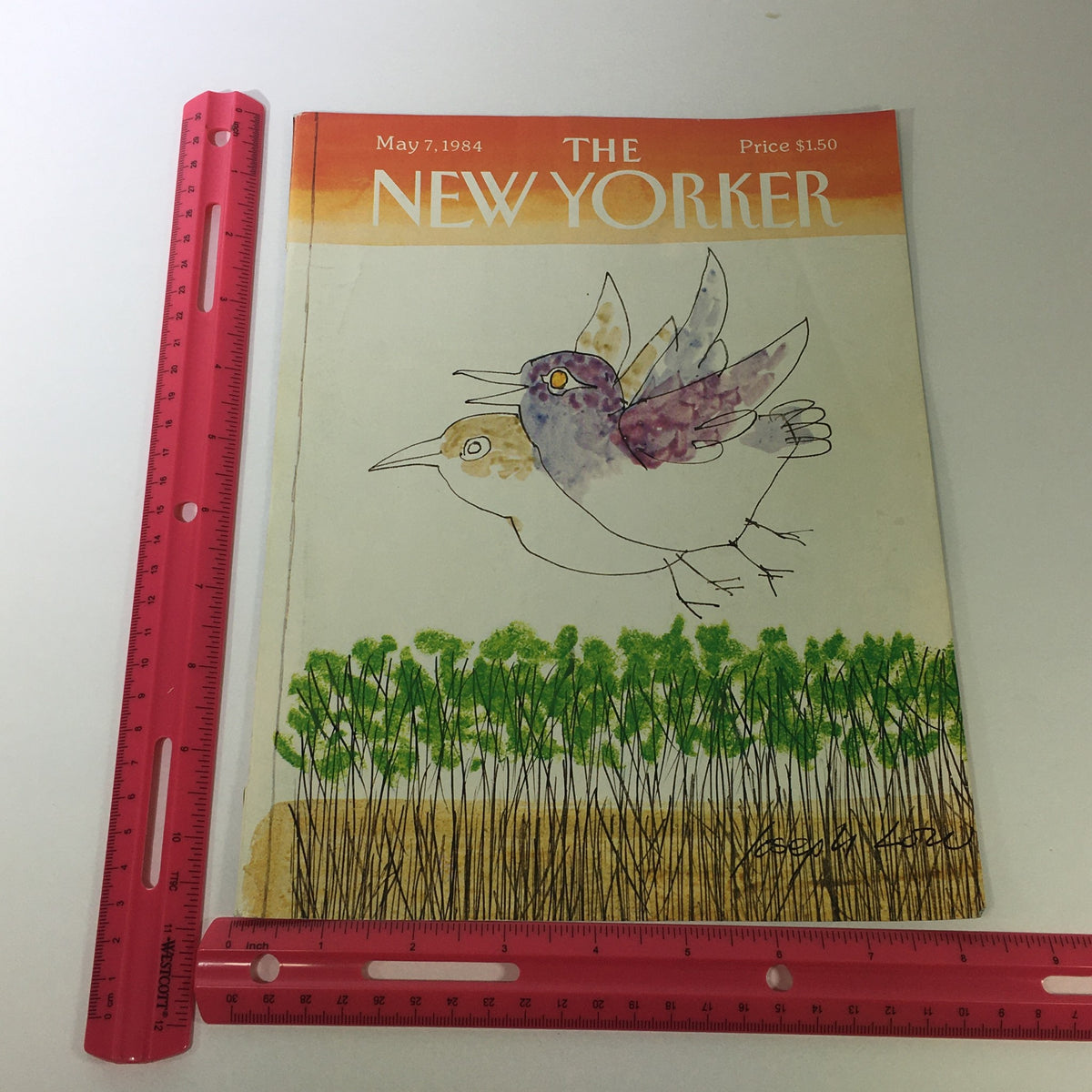COVER ONLY - The New Yorker Magazine May 7, 1984 showing the magazine cover with a ruler for scale, highlighting the unique artwork by Joseph Low of two flying birds amidst greenery.
