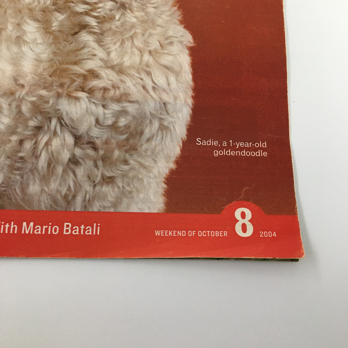 Life Magazine newspaper insert featuring a golden doodle, dated October 8, 2004. This rare insert showcases a fluffy golden doodle with its unique curly coat, part of a charming layout dedicated to the breed.