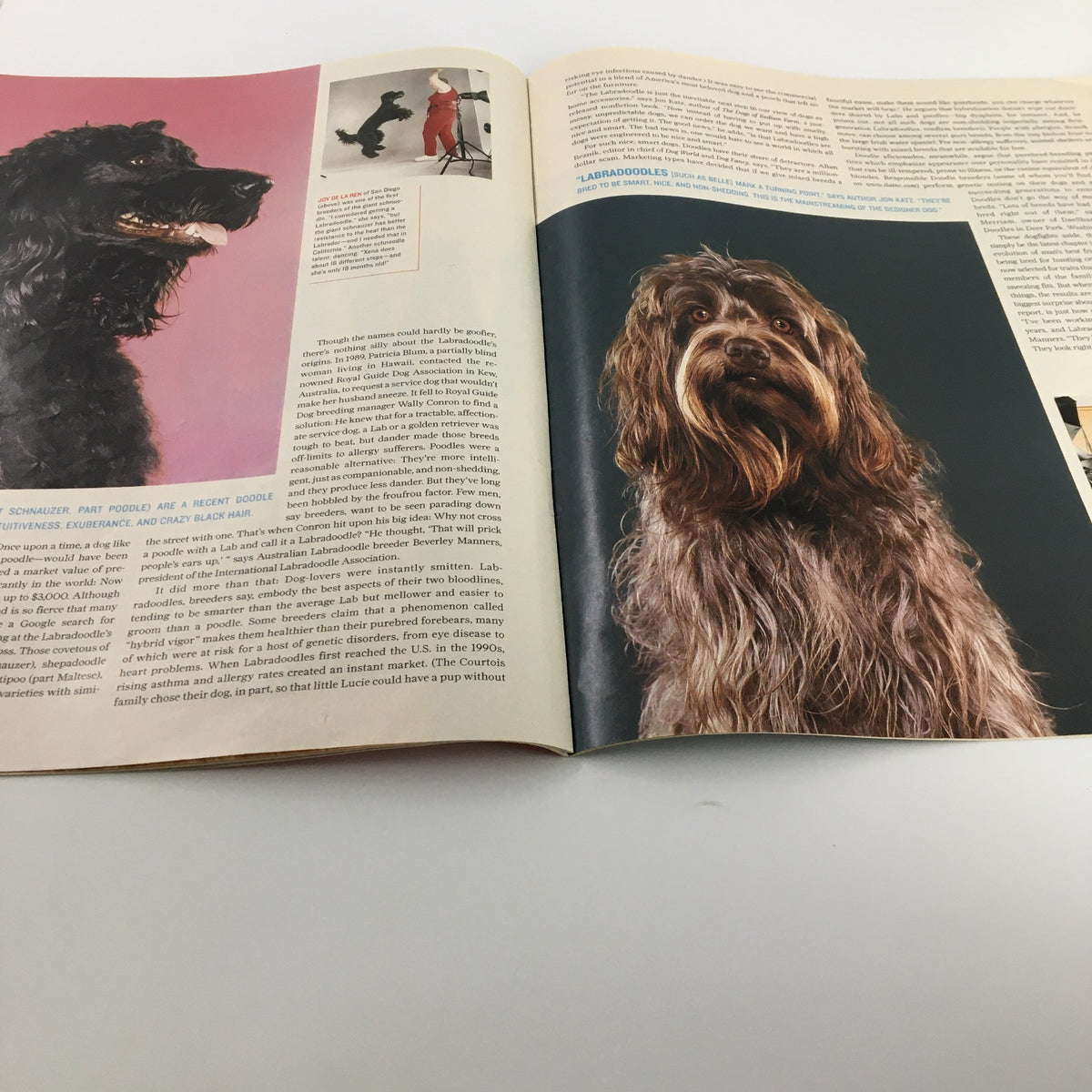 Interior page of the Life Magazine newspaper insert titled 'Life Magazine Newspaper Insert Golden Doodle October 8 2004 RARE No Label' showcasing various dog breeds with focus on their characteristics.