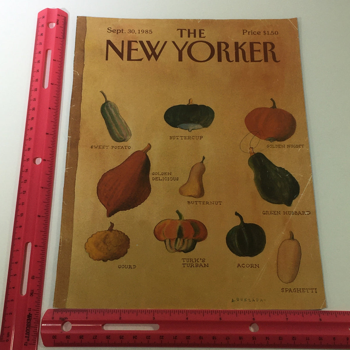 The New Yorker Magazine cover from September 30, 1985, displaying various illustrated vegetables, designed by Abel Quezada.
