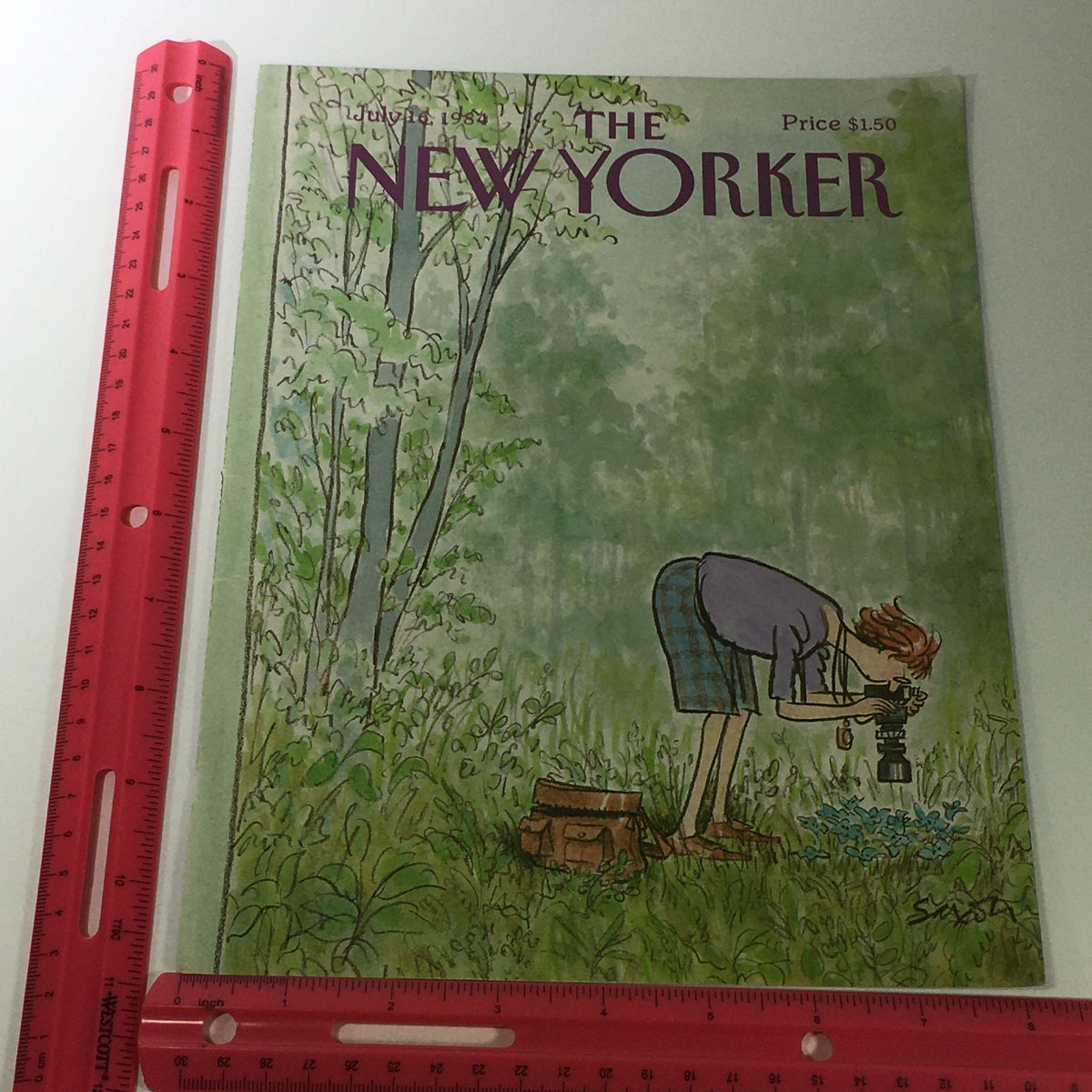 Cover of The New Yorker Magazine dated July 16, 1984, illustrated by Charles Saxton, featuring a woman photographing flowers in a green landscape.