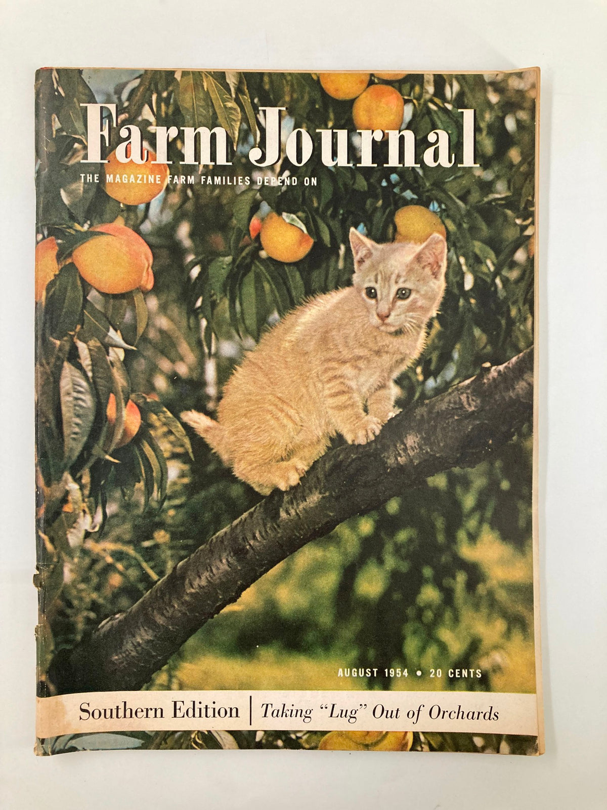 VTG Farm Journal Magazine August 1954 cover featuring The Yellowish Bob-Tailed Kitten on a tree branch, surrounded by oranges.