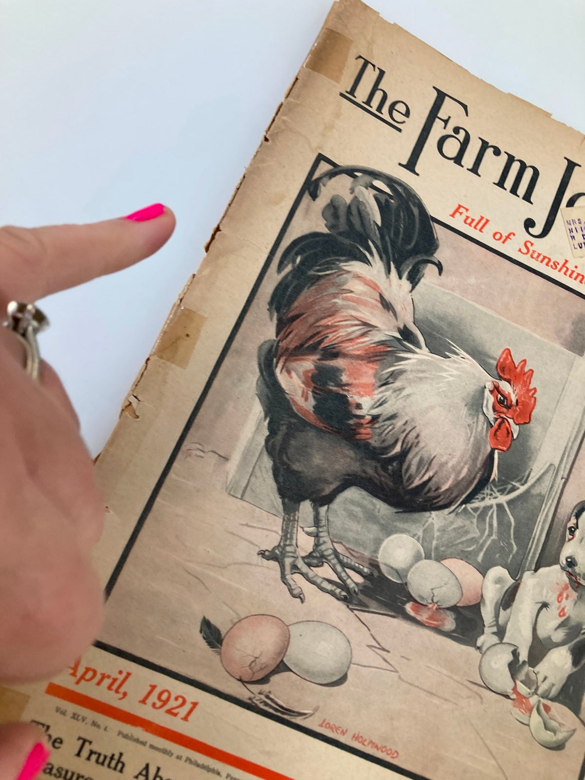 Close-up of the cover of the VTG The Farm Journal Magazine April 1921, emphasizing the rooster and eggs, with a hand pointing to the image.