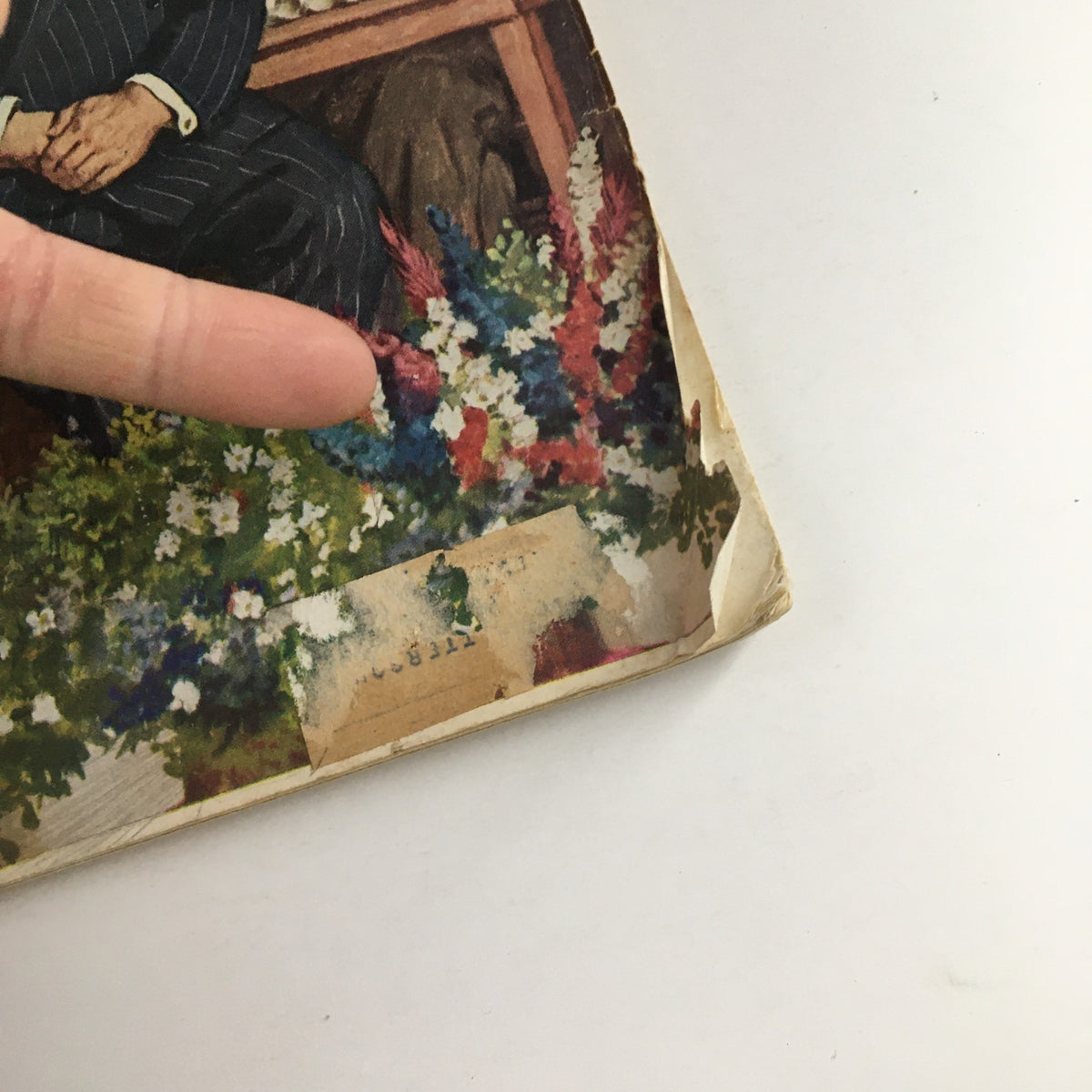 Close-up detail of the cover of The Saturday Evening Post, June 14, 1952, showing minor wear along the edges and vibrant illustrated flowers, emphasizing the vintage appeal and condition of the magazine featuring 'Ann Arbor's Juvenile Murderers.'