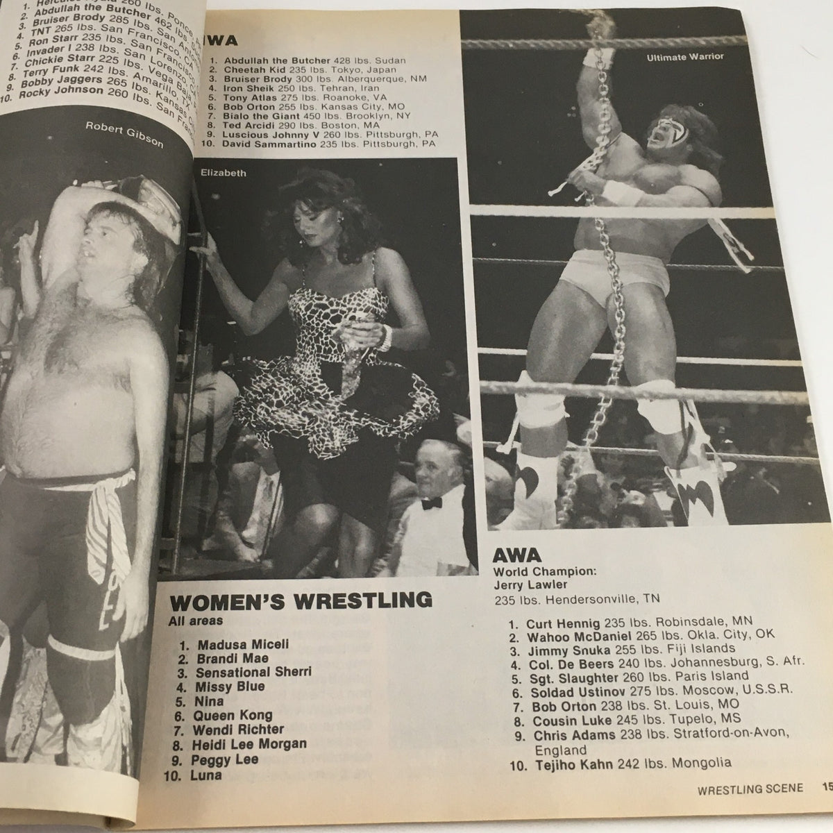 Page from Wrestling Scene Magazine November 1988 detailing AWA wrestling rankings and featuring notable wrestlers including Ultimate Warrior, showcasing the competitive landscape of wrestling.