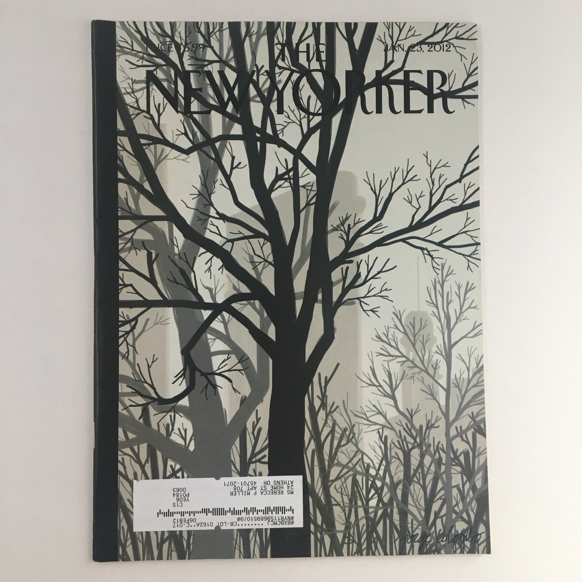 The New Yorker Magazine January 23 2012 featuring the cover art 'Sunlight on 23rd Street' by Jorge Colombo, showcasing a striking black and white tree illustration.