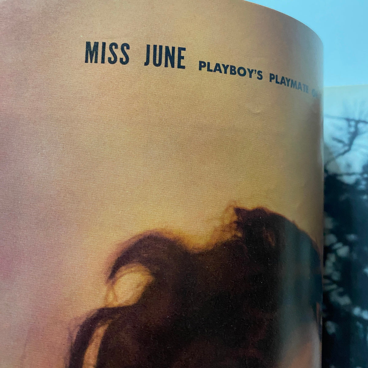 Close-up of the centerfold page from VTG Playboy Magazine June 1959 featuring Marilyn Hanold as Miss June.