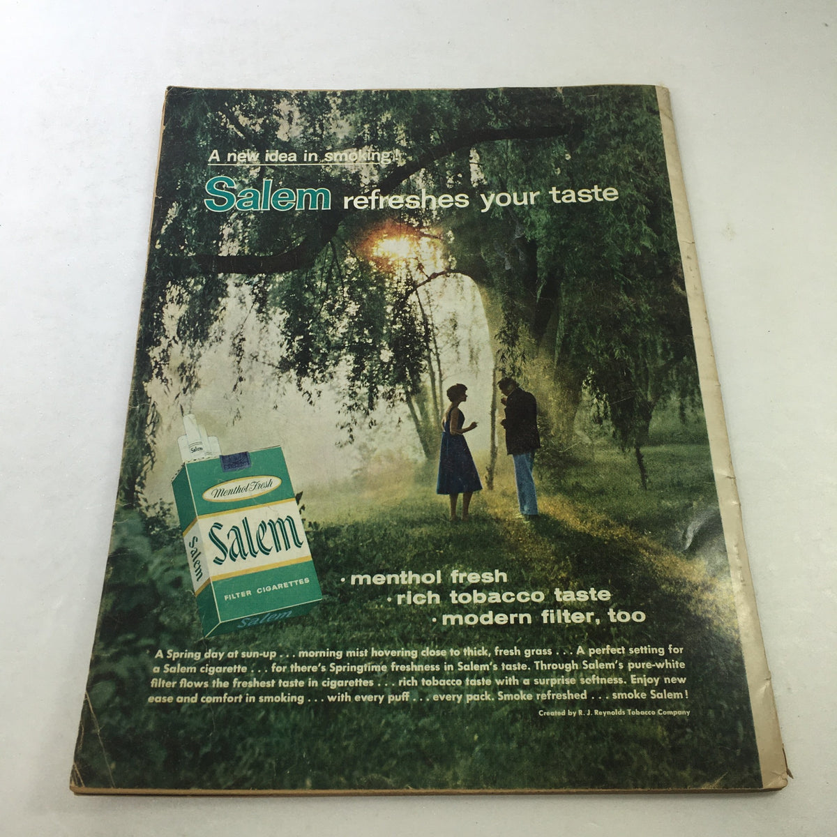 Back cover of the VTG Motion Picture Magazine from May 1959 featuring an advertisement for Salem cigarettes, highlighting the product in a serene outdoor setting.
