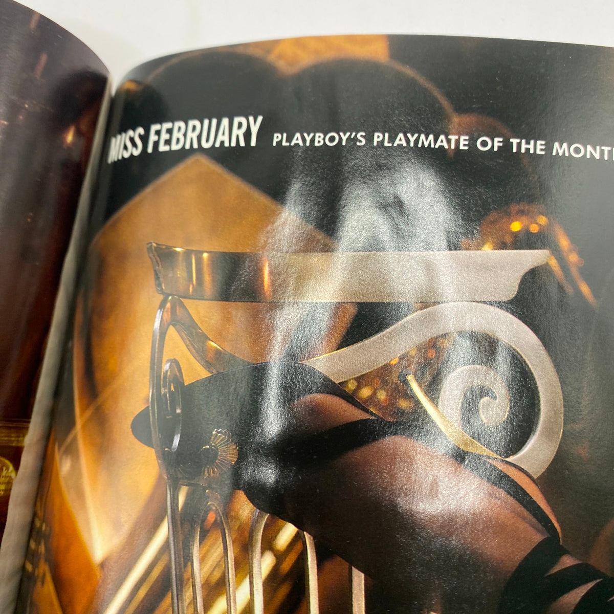 Inside view of Playboy Magazine February 1994, showcasing the feature pages with 'Miss February' title, emphasizing its collectible inner content.