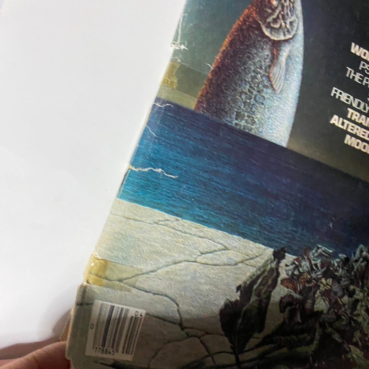 Detailed view of the back cover of VTG Omni Magazine April 1981 showcasing the magazine's worn edges and unique artwork.