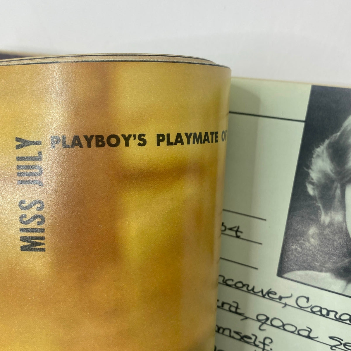 Inside the VTG Playboy Magazine July 1981, showcasing the centerfold and details from the Playmate of the Month feature.