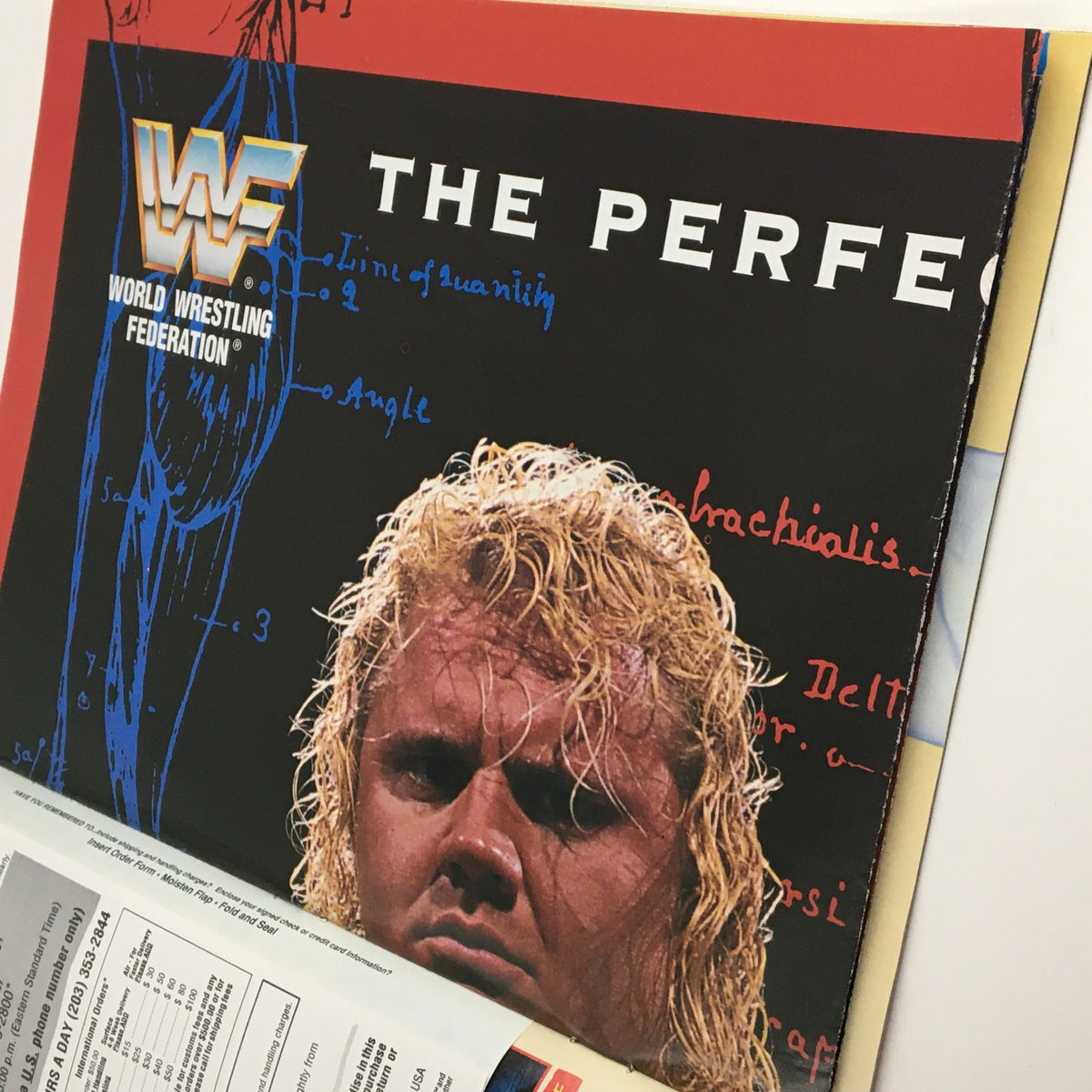 Inside page of WWF Wrestling Spotlight Magazine 1993 Vol 19 displaying a full-color image of Curt Hennig with technical notes on an anatomical illustration.