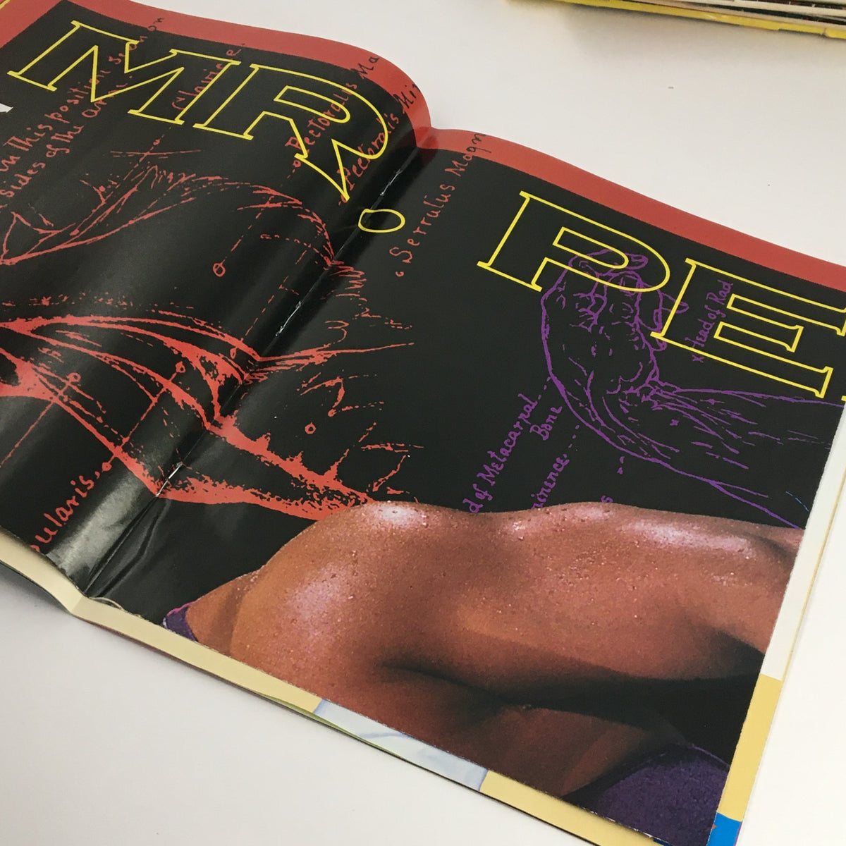 Open page of WWF Wrestling Spotlight Magazine 1993 Vol 19 showing a stylized artwork of 'Mr. Perfect' alongside anatomical diagrams.