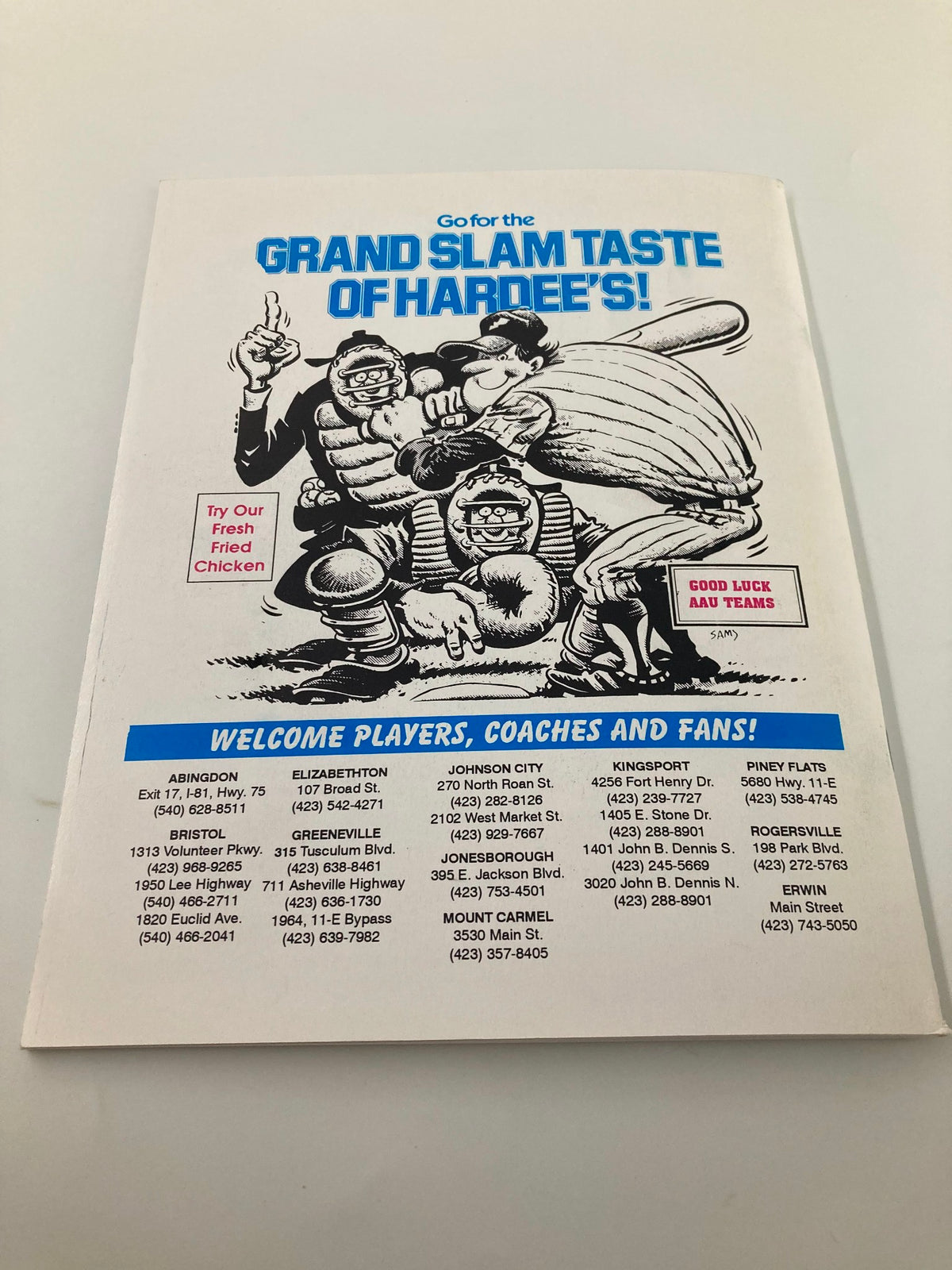 August 2-9 1996 AAU 14 & Under National Baseball Championship Official Program with an advertisement for Hardee's featuring mascots and promotional text.