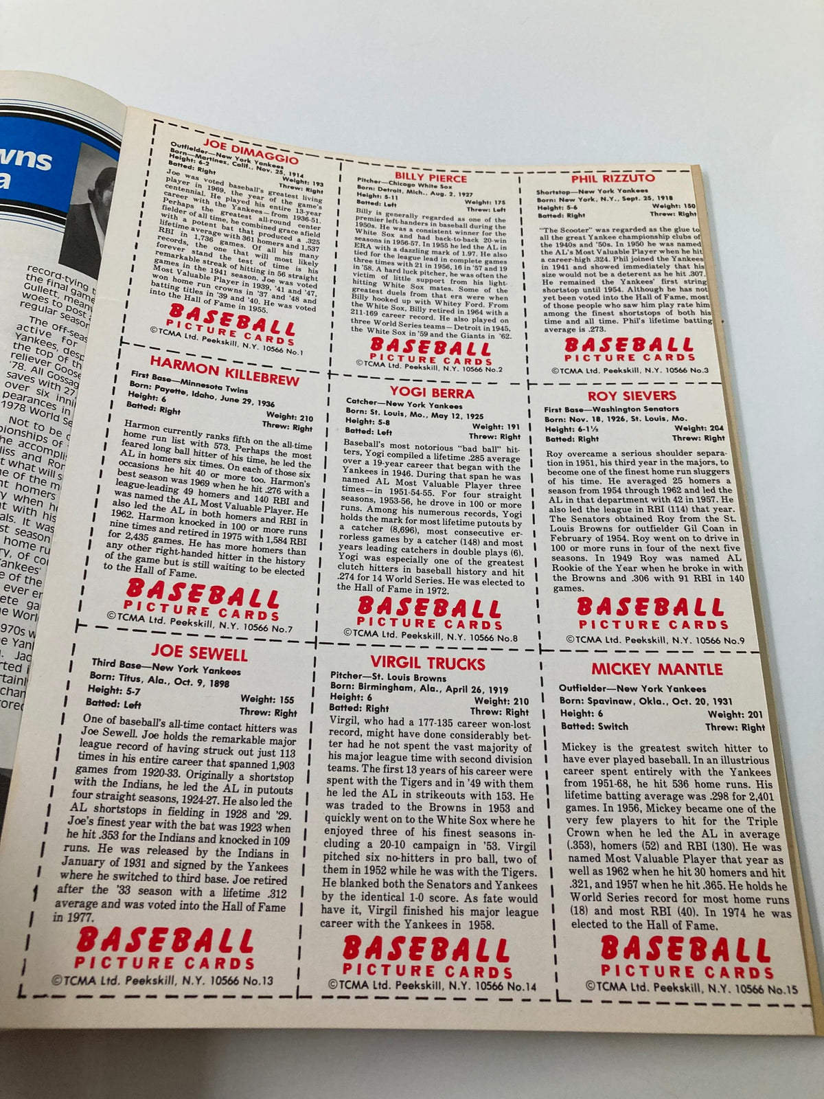 1982 MLB New York Yankees Official Yearbook American League Champions page featuring player statistics and trading cards, including Joe DiMaggio and Mickey Mantle.