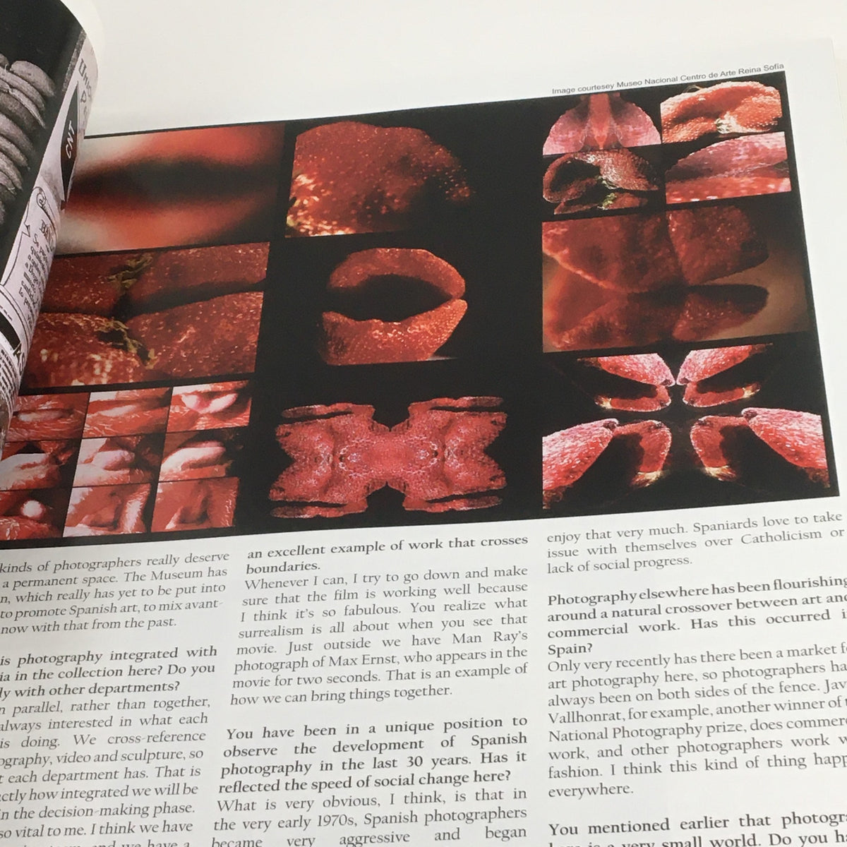 A collection of close-up photographs showcasing various textures, shapes, and colors, featured in Focus Photography Magazine February 2007, highlighting Ruth Bernhard's artistic influence.