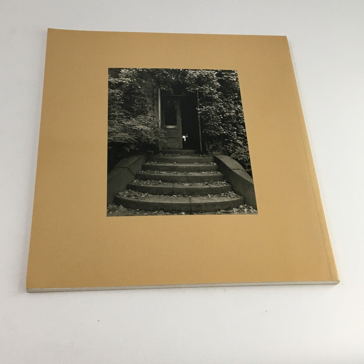 Cover image of the Contact Sheet Number 110 January 2001 Margaret Stratton Light Work Portfolio, featuring stairs surrounded by greenery.