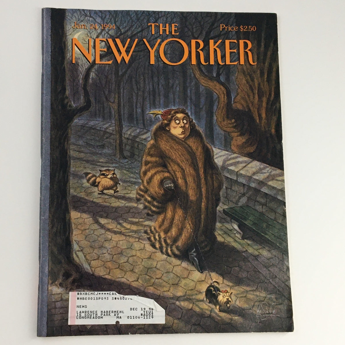 Cover of The New Yorker magazine from January 24, 1994, featuring artwork by Peter de Sève, depicting a whimsical scene of a woman in a fur coat walking with a dog and raccoons in a winter setting.