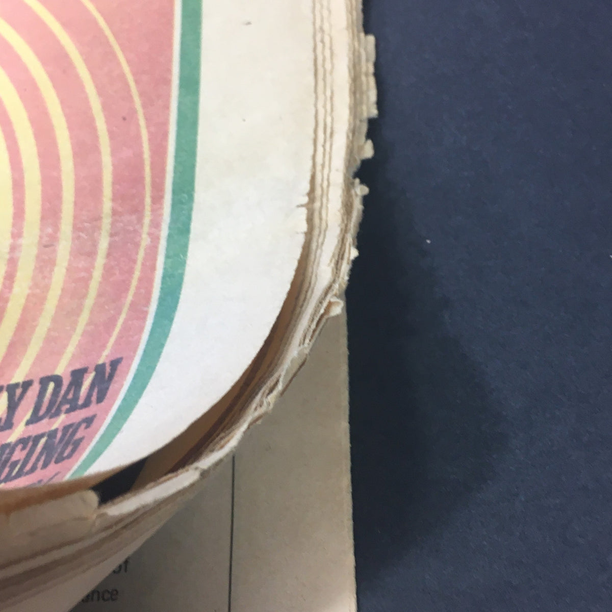 Detailed view of the spine of the VTG Rolling Stone Magazine August 15 1974, depicting the unique colors and text about Steely Dan, showcasing the magazine's vintage character.