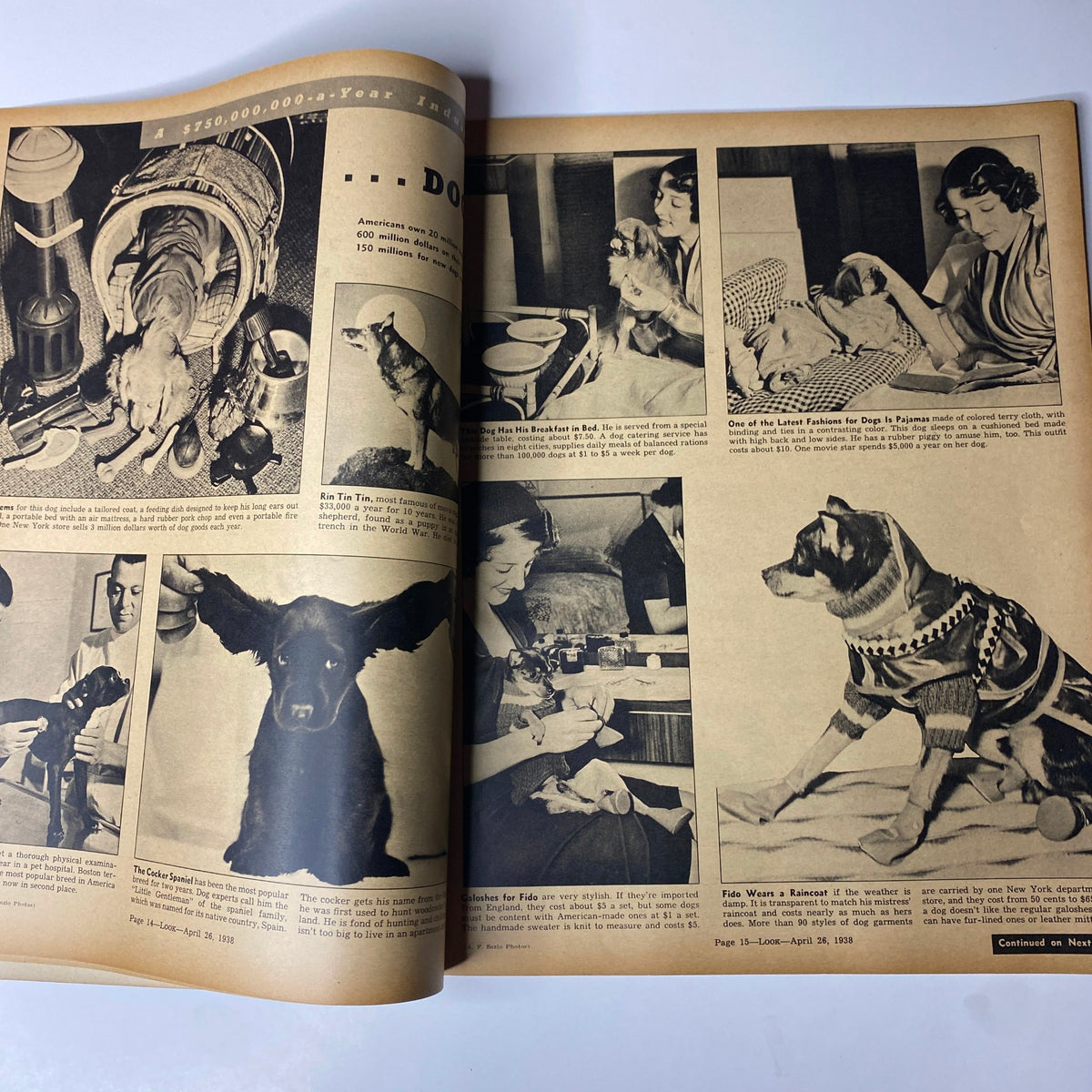 Vintage Look Magazine April 26, 1938 showcasing images of dogs in various lifestyles, including fashion and feeding, illustrating pet care trends of the time.