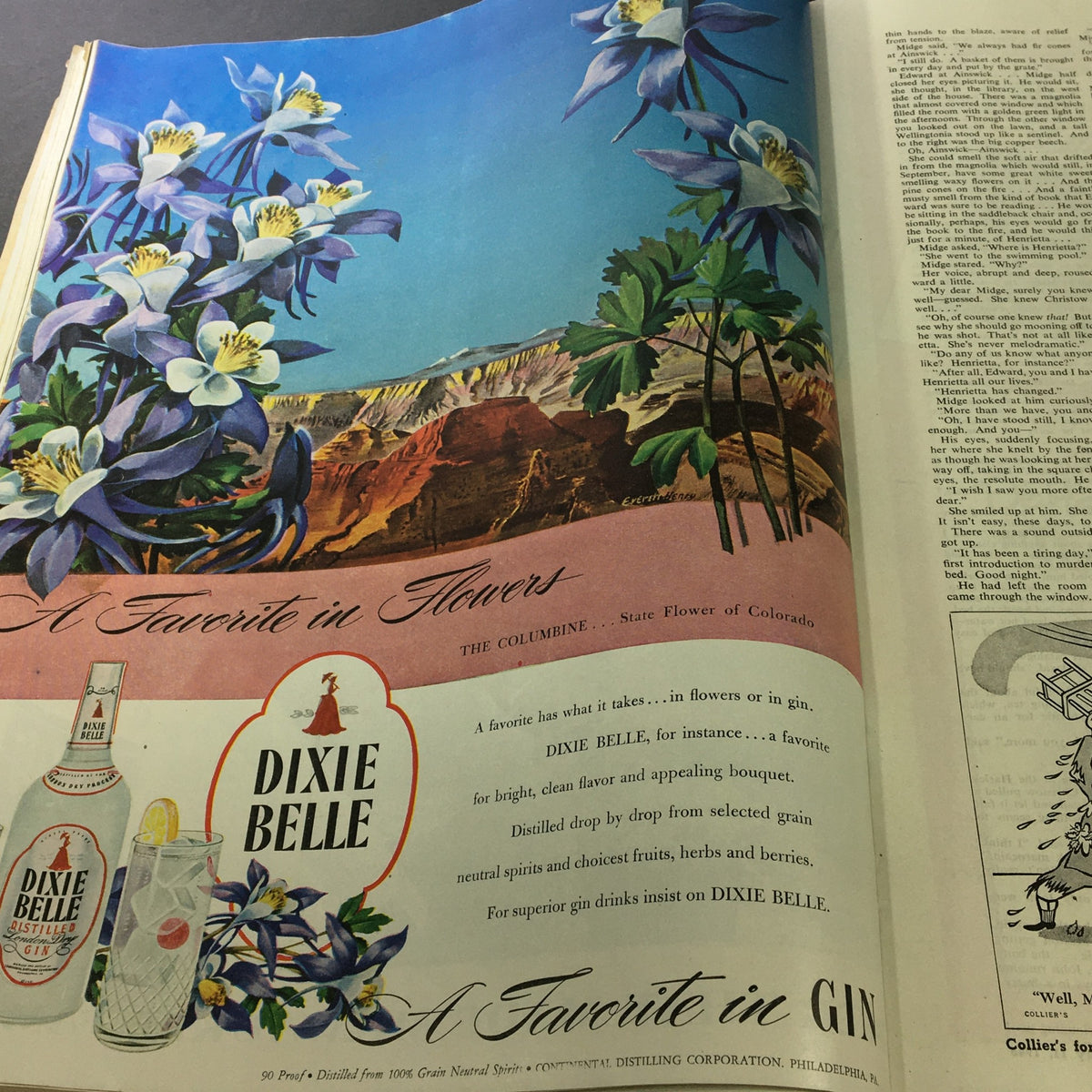 Advertisement in Collier's Magazine May 11 1946 showcasing the Dixie Belle gin brand with a colorful background featuring Colorado's state flower, the columbine.