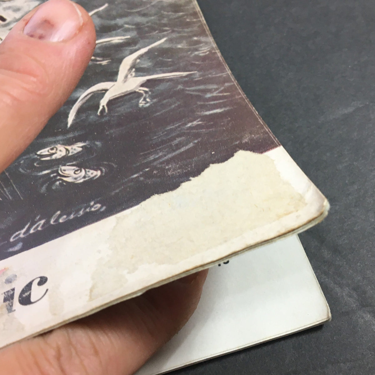 An image showing the edge of VTG Collier's Magazine June 11 1959 with a glimpse of the cover art, highlighting its vintage condition and charm.