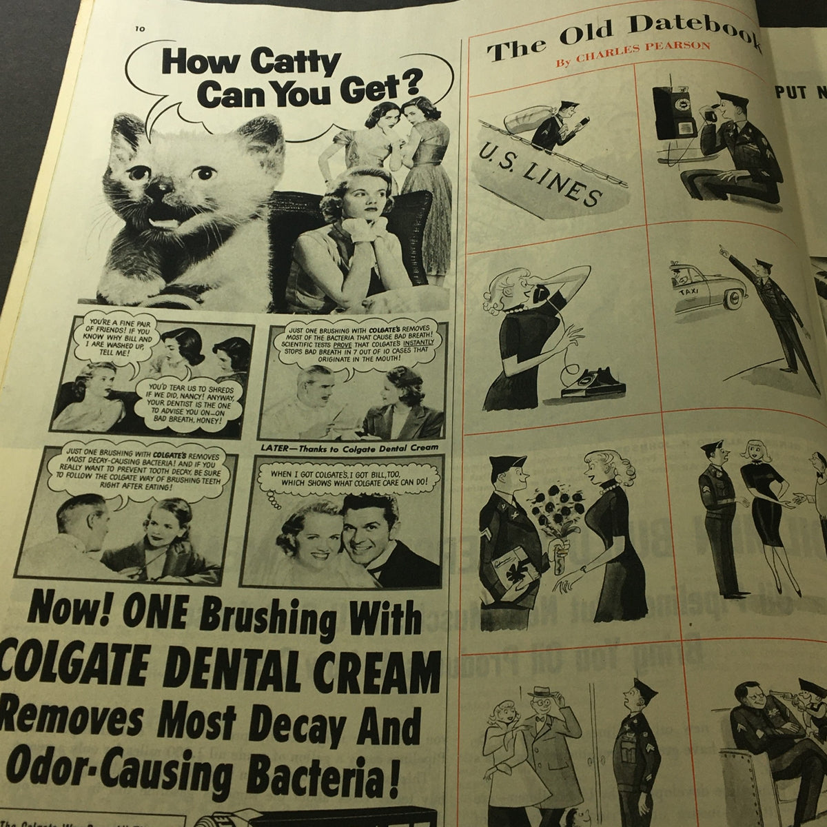Humorous vintage advertisement with a cat and a conversation about Colgate Dental Cream from Collier's Magazine May 16 1953.