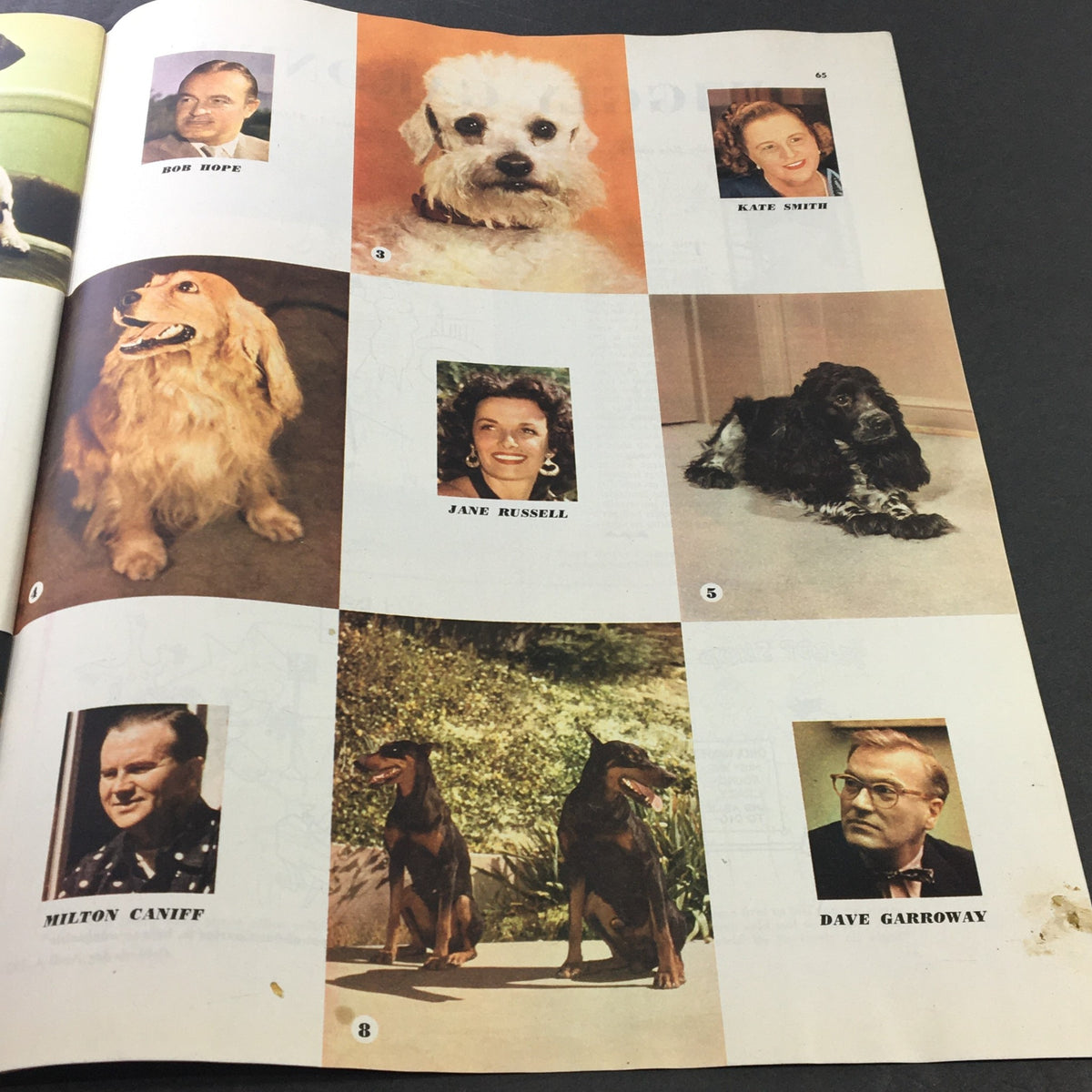 Inside page of VTG Collier's Magazine April 4, 1953 featuring portraits of Bob Hope, Jane Russell, Milton Caniff, and Kate Smith alongside their pets, showcasing the charm of mid-century celebrity culture.
