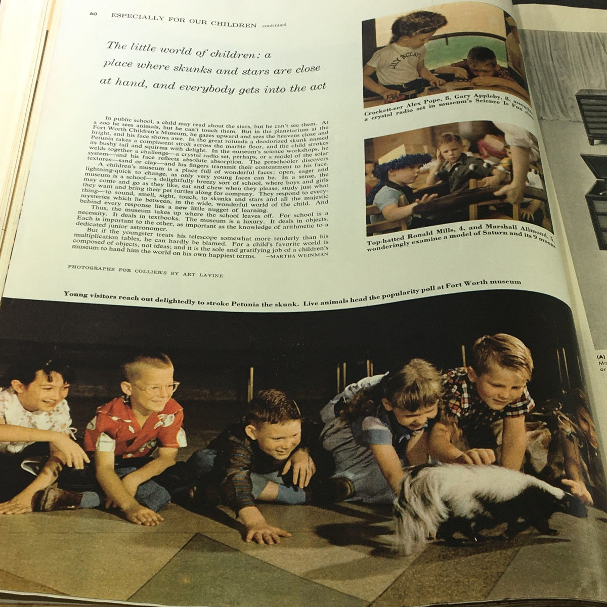 Children interacting with live animals at the Fort Worth museum, featured in Collier's Magazine September 30 1955, highlighting engaging learning experiences.