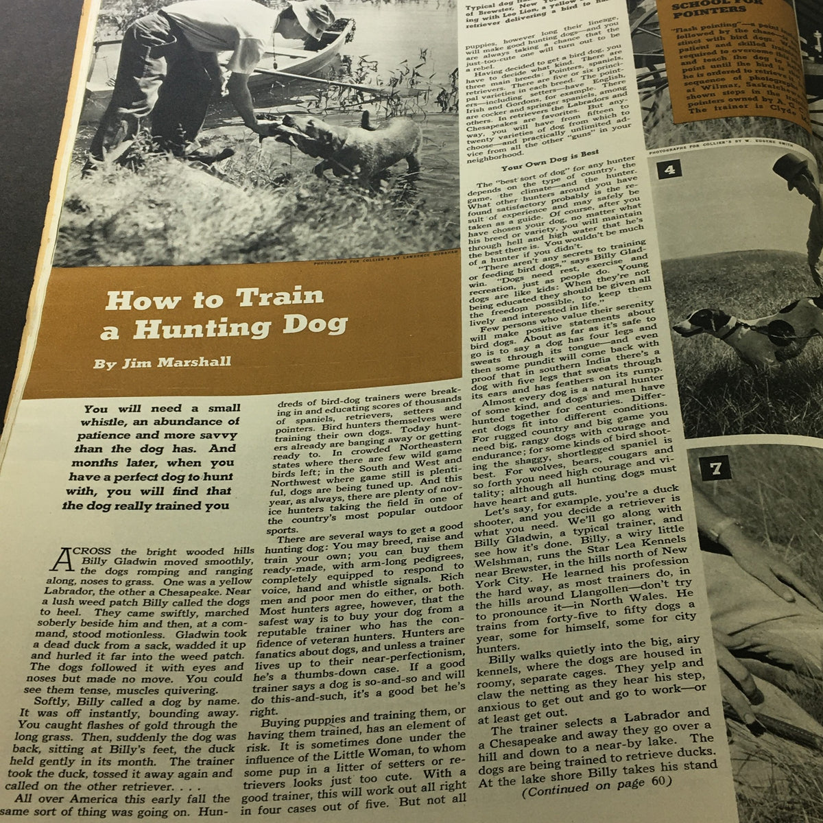 Article page titled 'How to Train a Hunting Dog' from VTG Collier's Magazine September 7 1941, providing practical training advice for dog owners.