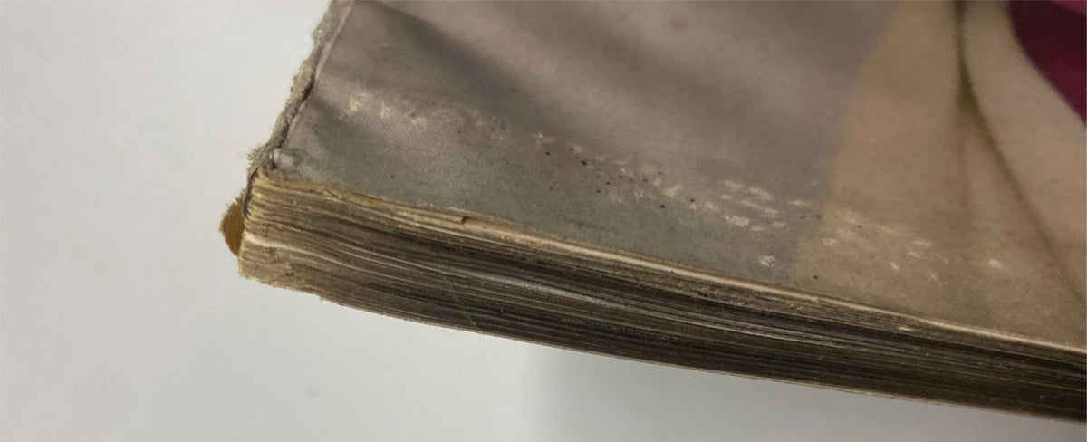 Close-up image of the spine from Vogue Magazine, November 1, 1952, showing signs of wear and vintage characteristics.