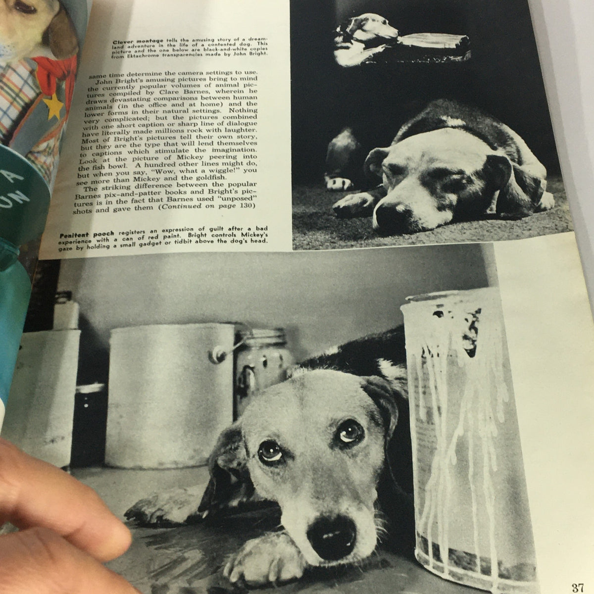 VTG Popular Photography Magazine July 1950 showcasing a montage of images featuring a dog demonstrating emotions related to its surroundings.
