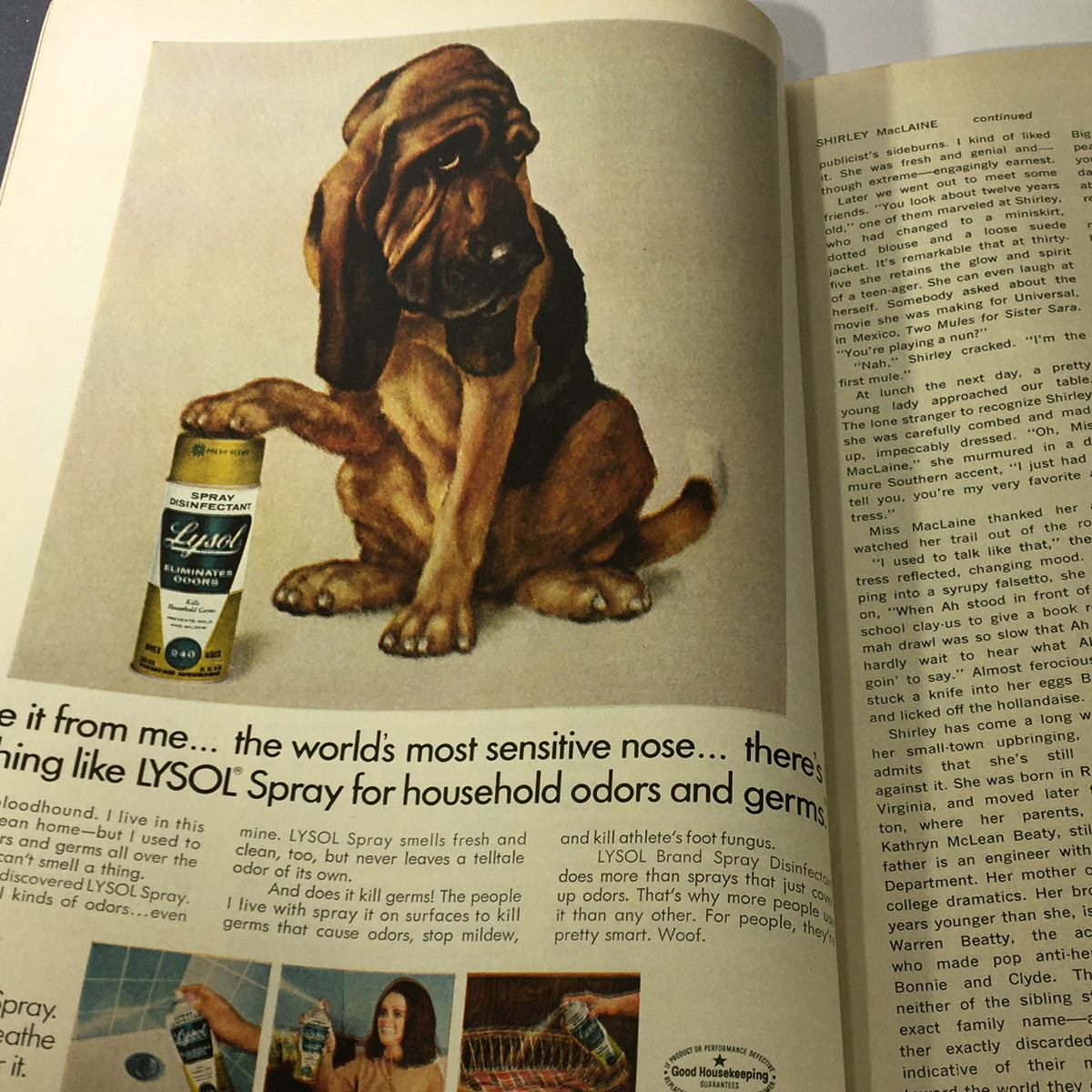 Lysol Spray advertisement featuring a dog in the June 1969 VTG Good Housekeeping Magazine, promoting household odor elimination.