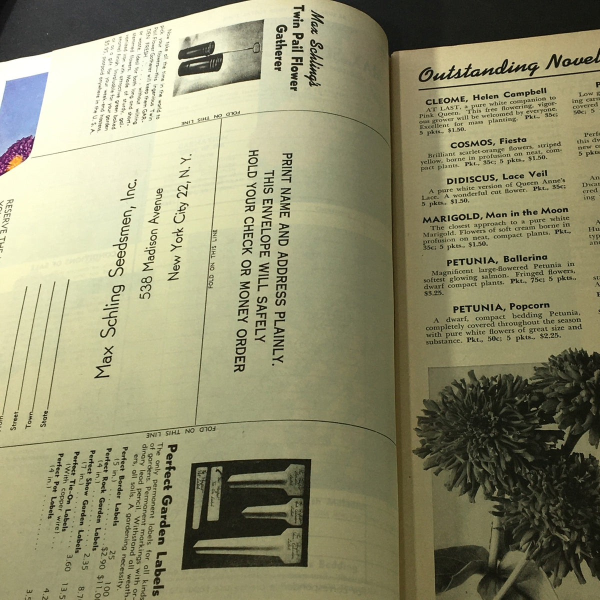Another interior page of 'The Book for Garden Lovers Spring 1954' listing contact information for Max Schling Seedmen Inc. along with additional flower varieties.