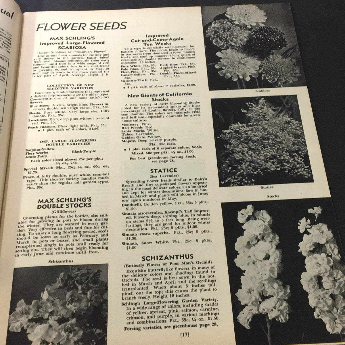 Interior page from Vintage The Book for Garden Lovers Spring 1954 highlighting various flower seeds like stocks and schizanthus with detailed descriptions.