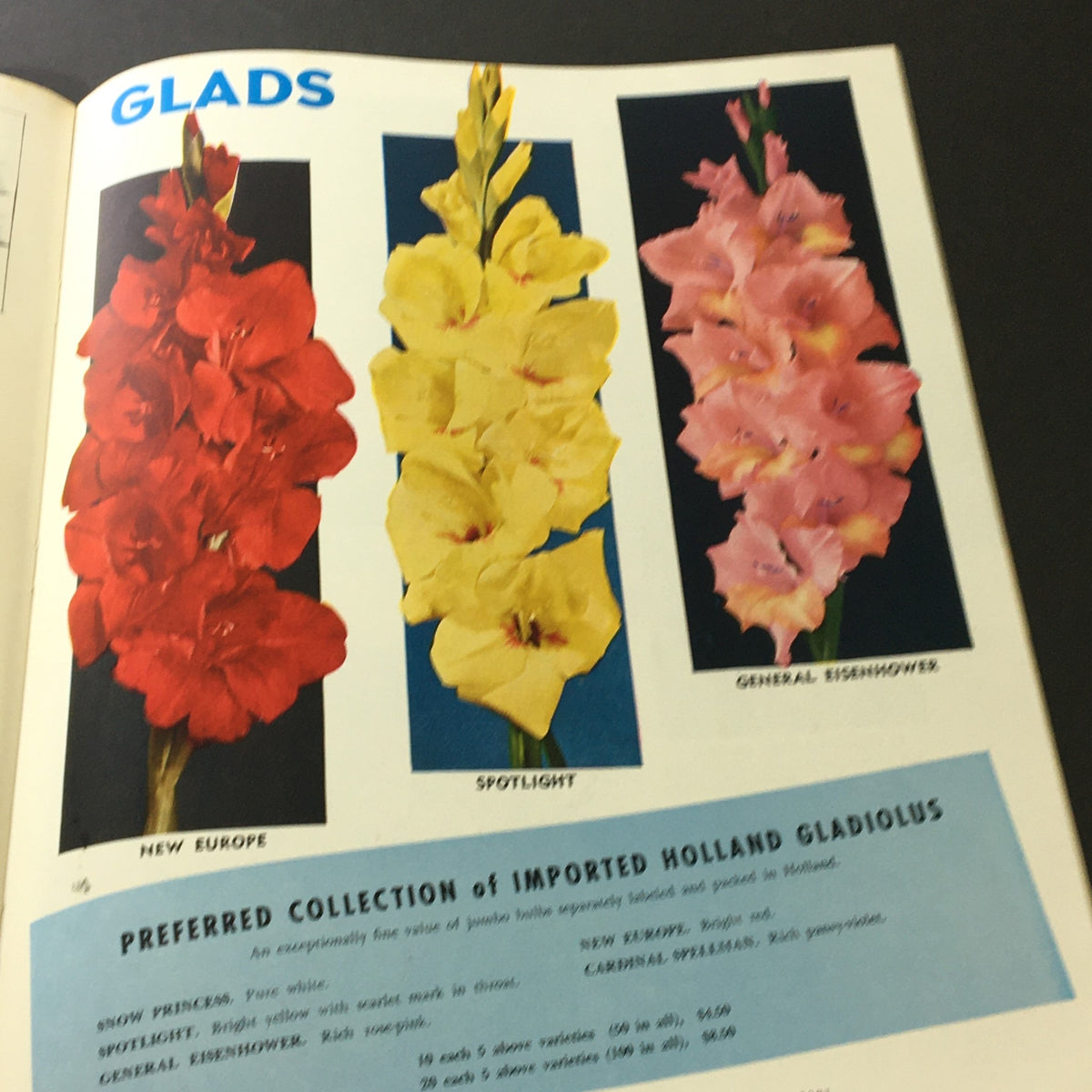 Colorful illustration of gladiolus varieties from Vintage The Book for Garden Lovers Spring 1954 displaying New Europe, Spotlight, and General Eisenhower.