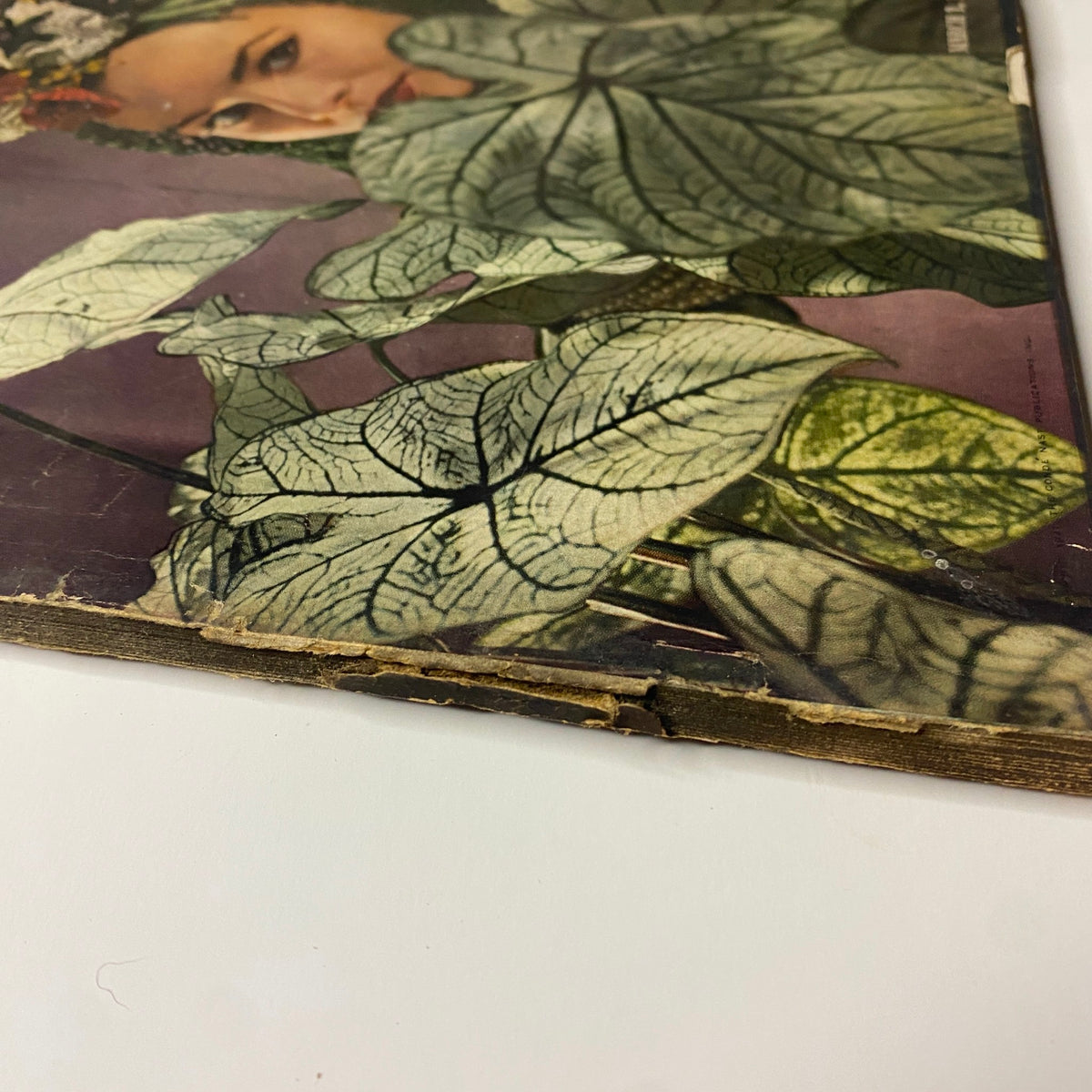 Close-up of the spine of Vogue Magazine March 1, 1941, exhibiting age wear and details from decades of storage.