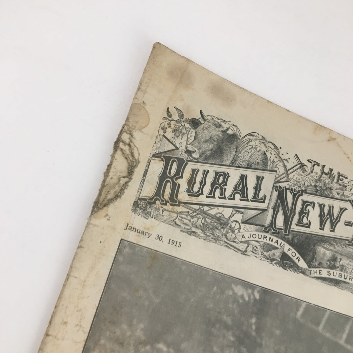 Close-up of the top left corner of The Rural New Yorker Magazine January 30, 1915, displaying the magazine title and date with noticeable wear.